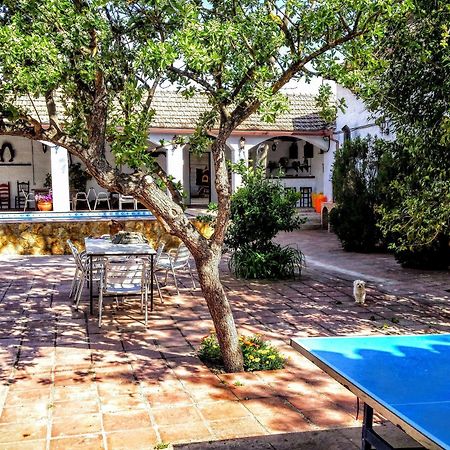 Alojamiento Rural El Cortijuelo Hotel Illora Exterior photo